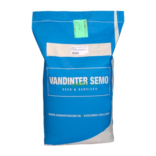 VDS Zwaardherik (Eruca Sativa) - Afbeelding 2