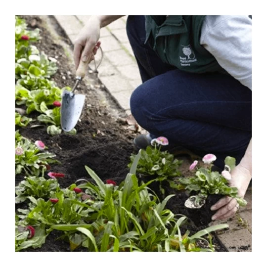 Burgon & Ball RHS Plantschopje Met Maatvoering (inch) - Afbeelding 2