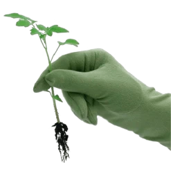 De Wiltfang Foxgloves Original