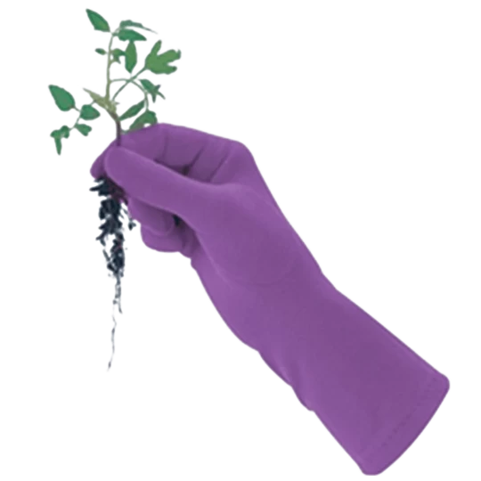 De Wiltfang Foxgloves Original - Afbeelding 3