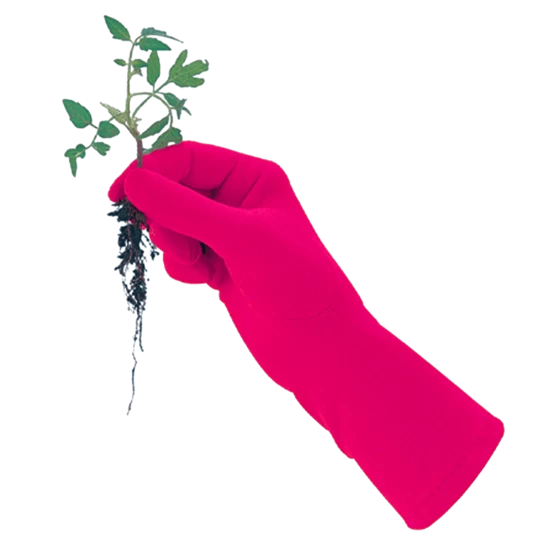 De Wiltfang Foxgloves Original - Afbeelding 4