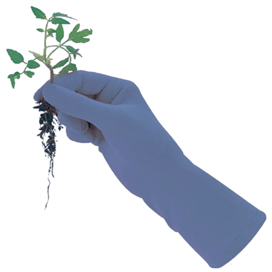 De Wiltfang Foxgloves Original - Afbeelding 5