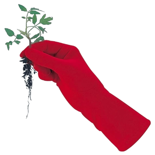 De Wiltfang Foxgloves Original - Afbeelding 6