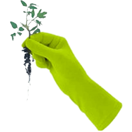 De Wiltfang Foxgloves Original - Afbeelding 7